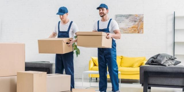 The Ultimate Guide to Choosing Professional Removalists in Richmond